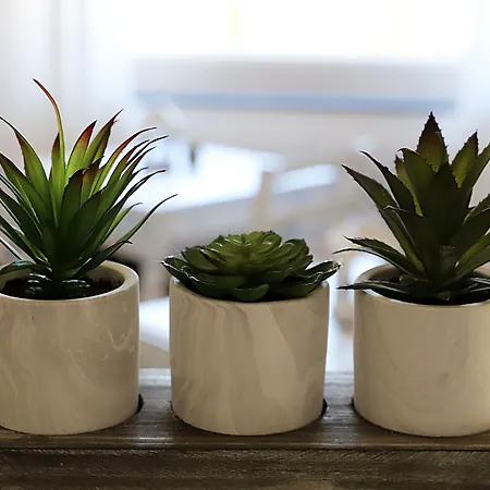 Sunrise Bed & Breakfast